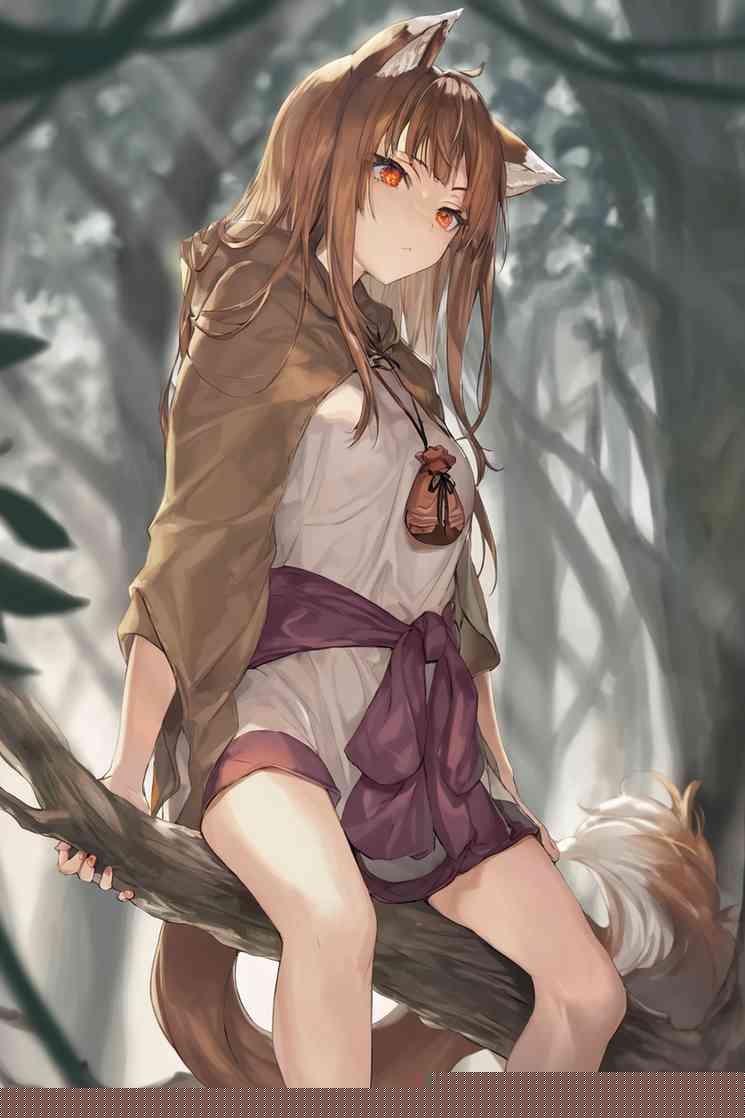 Chapter illustration
