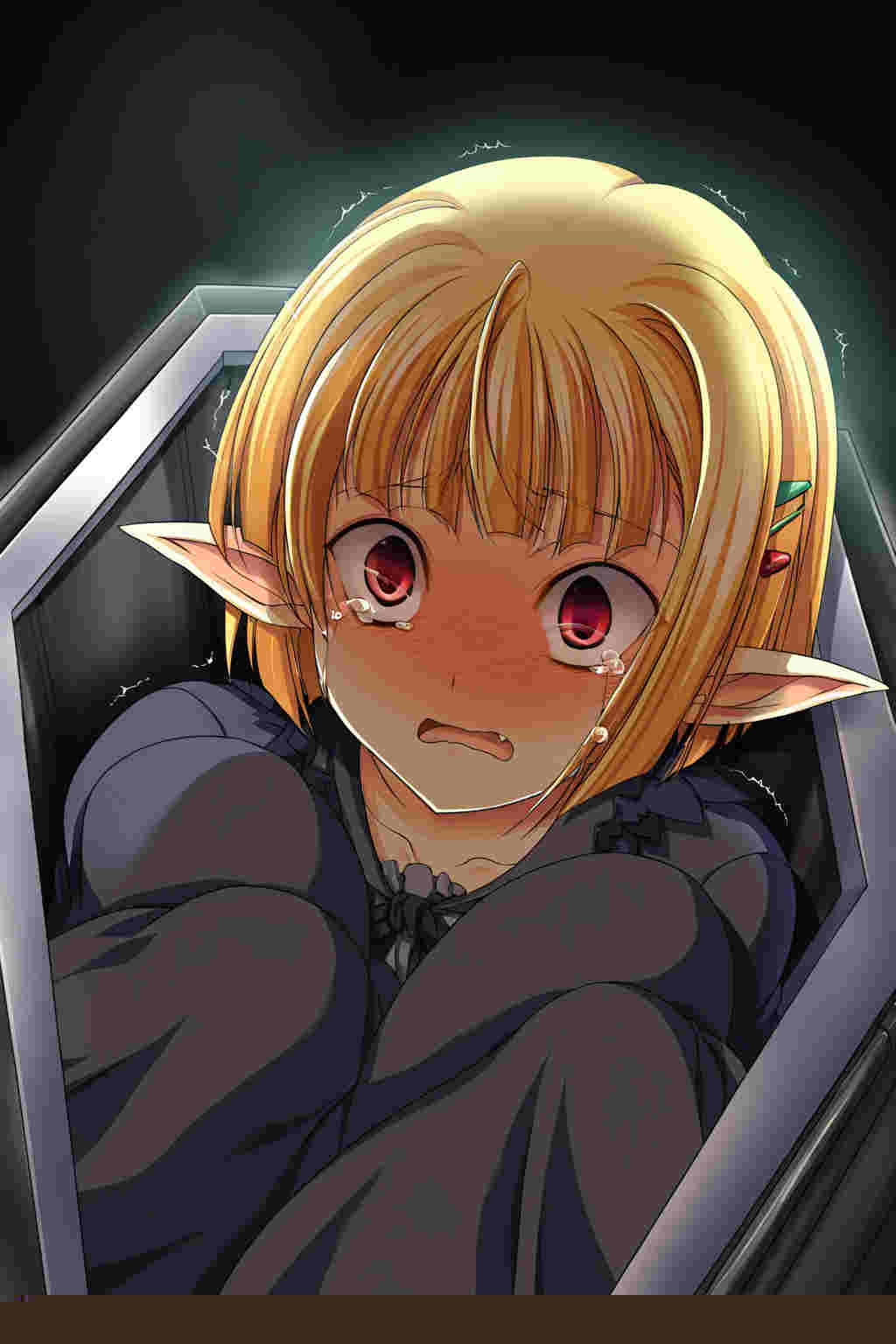 Chapter illustration